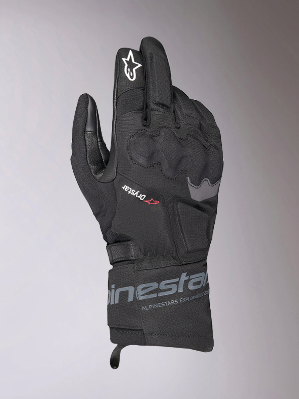 Daisy on the Ohoopee